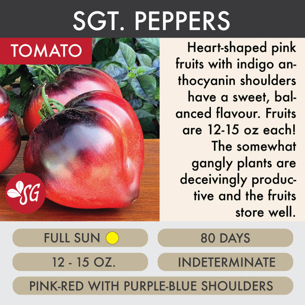 Sgt. Pepper's - Tomato Plant Pre-Order 2026