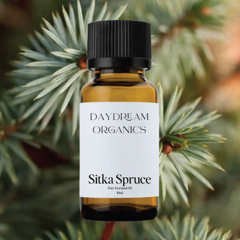 Daydream Organics Sitka Spruce Essential Oil 10 ml