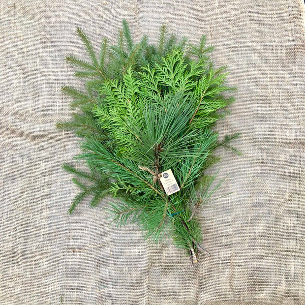 Bundles - Holiday Greenery - LOCALLY HARVESTED