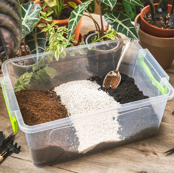 Mocktails at the Soil Bar! - February 14, 2026 - 1:00 pm