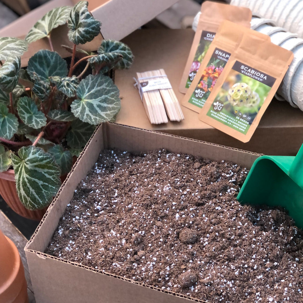 potting mix for transplants Soil in a box!