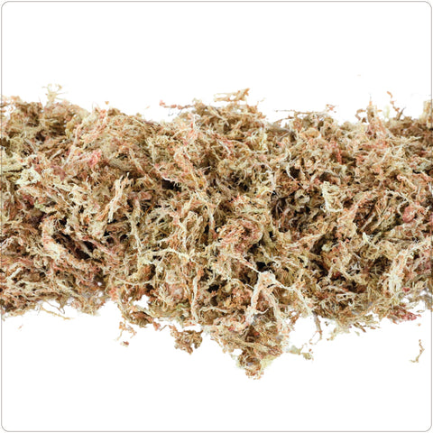 Sphagnum Moss - Premium Long Fiber