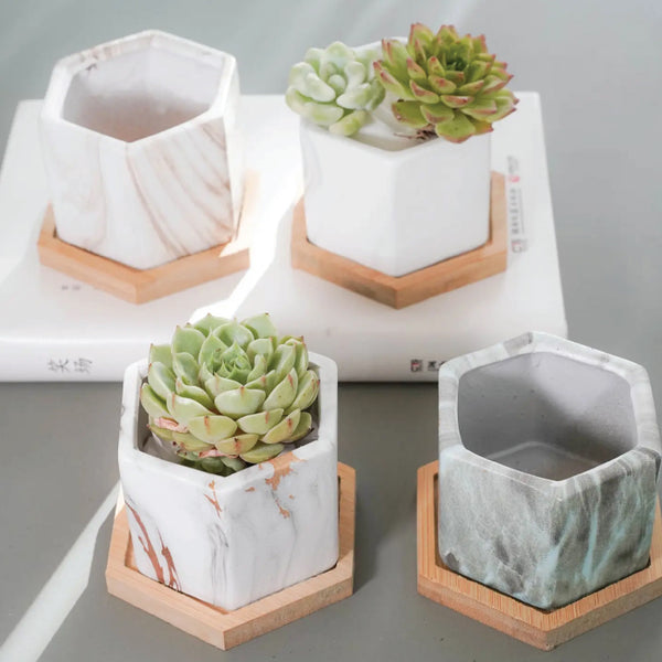 Ceramic Planter (with Drainage Hole) -  Hexagon Marble Pattern Planter with Saucer