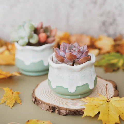 Ceramic Planter (with Drainage Hole) - Milky Green Lotus with Drip Glaze