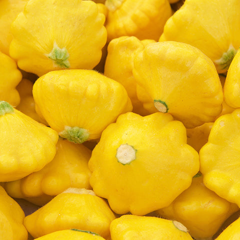 Squash (Patty Pan), Yellow (Organically Grown Seeds)