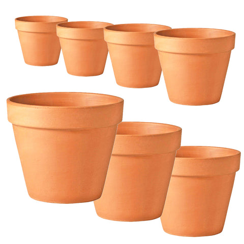 Terracotta Clay Pot - Standard