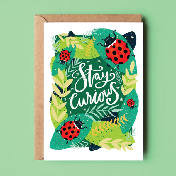 The Sunshine Bindery - Greeting Card - Stay Curious (Recycled)