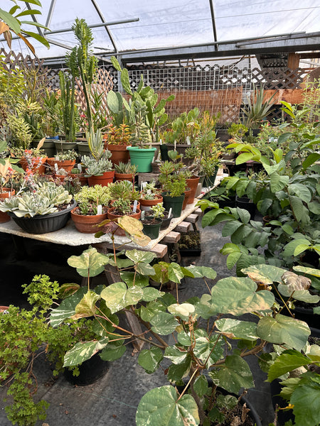 Behind the Scenes Tour at Sage Garden - Sunday, September 28, 2025