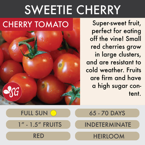 Sweetie Cherry - Tomato Plant Pre-Order 2026