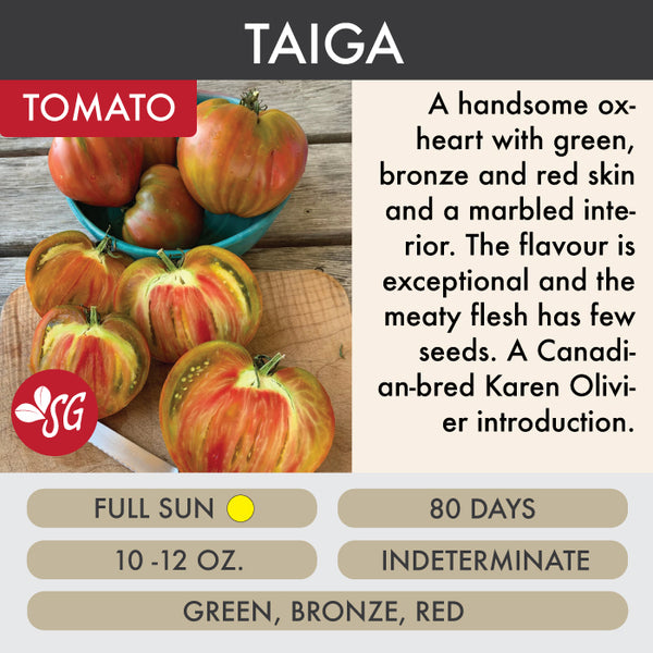 Taiga - Tomato Plant Pre-Order 2026
