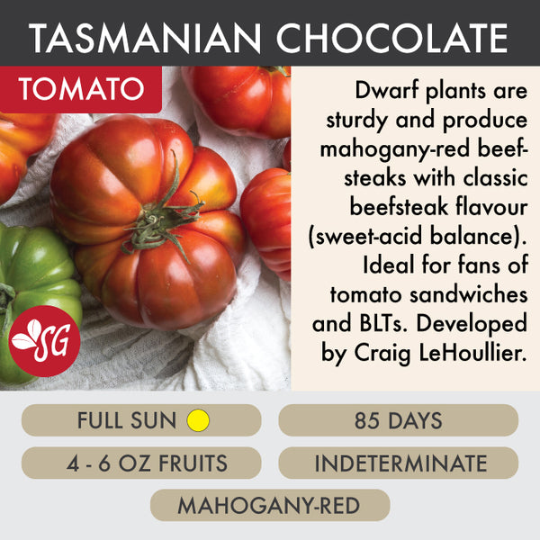 Tasmanian Chocolate Dwarf - Tomato Plant Pre-Order 2026