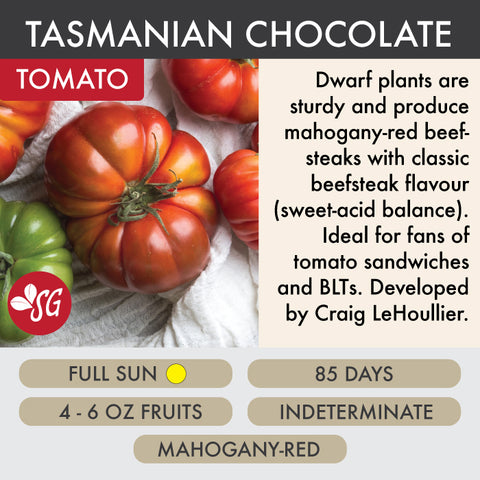 Tasmanian Chocolate Dwarf - Tomato Plant Pre-Order 2026
