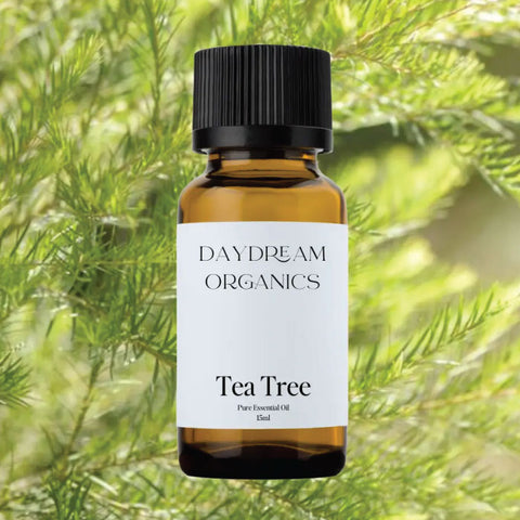 Daydream Organics Tea Tree Essential Oil 15 ml