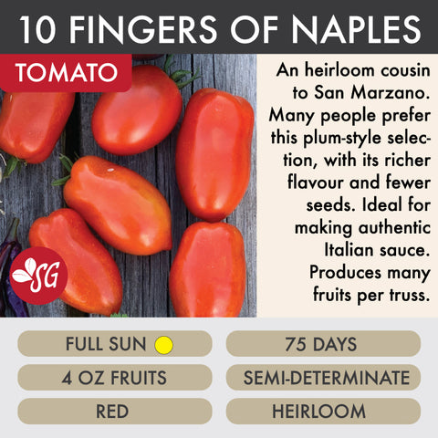 Ten Fingers of Napoli - Tomato Plant Pre-Order 2026
