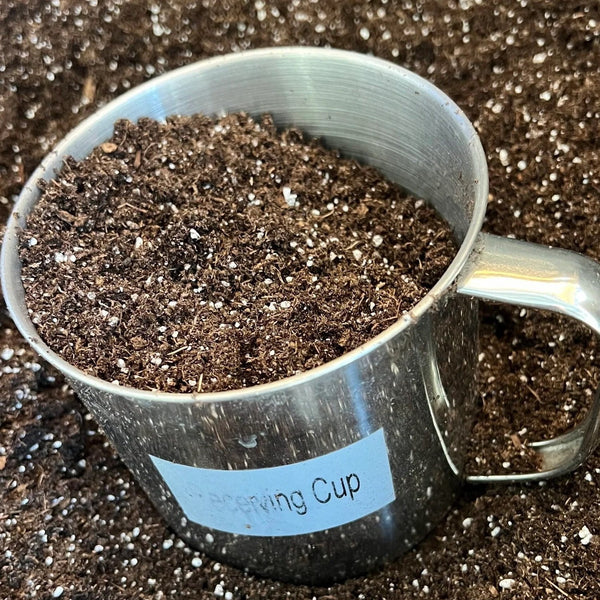 Metallic cup filled with dark soil on a bed of organic soil