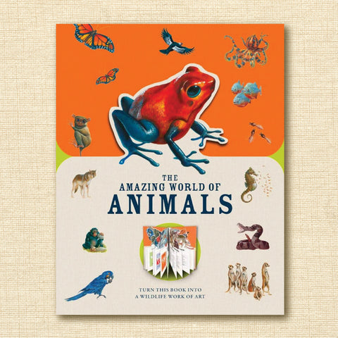 The Amazing World of Animals: Turn This Book Into a Wildlife Work of Art (Paperscapes)