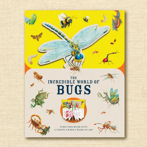 The Incredible World of Bugs: Turn This Book Into a Wildlife Work of Art (Paperscapes)