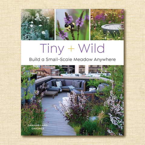 Tiny and Wild: Build a Small-Scale Meadow Anywhere