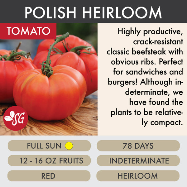 Polish Heirloom - Tomato Plant Pre-Order 2026