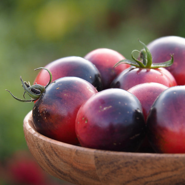 Tomato (Cherry), Black Strawberry (Naturally Grown Seeds)