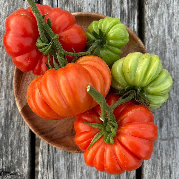Tomato (Regular), Costoluto Genovese (Naturally Grown Seeds)