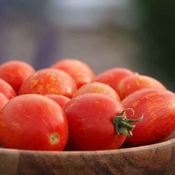 Tomato (Dwarf), Fuzzy Wuzzy (Naturally Grown Seeds)