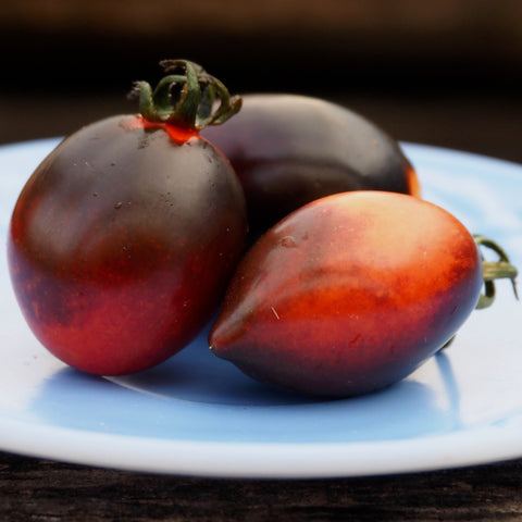Tomato (Paste), Midnight Roma (Naturally Grown Seeds)