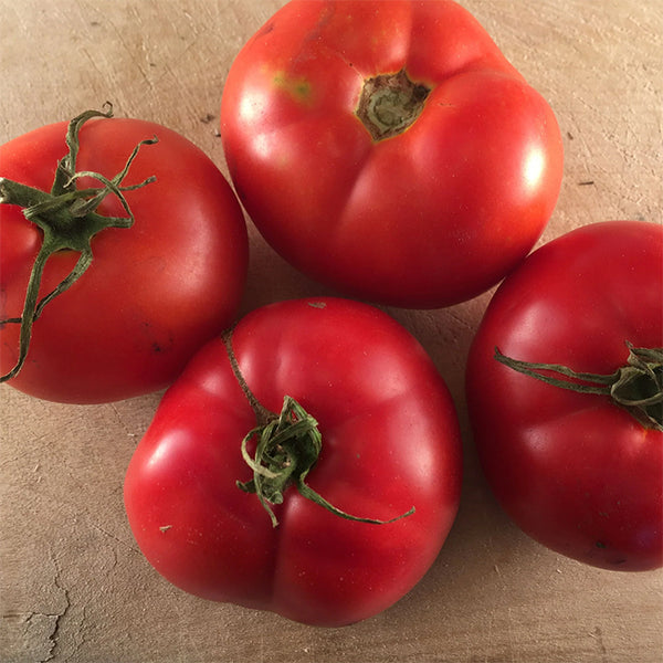 Tomato (Regular), Montreal Tasty (Certified Organic Seeds)