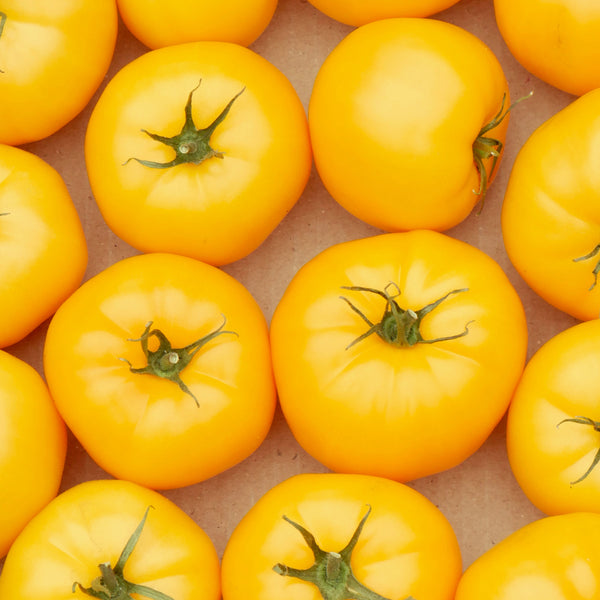 Tomato (Regular), Nebraska Wedding (Naturally Grown Seeds)