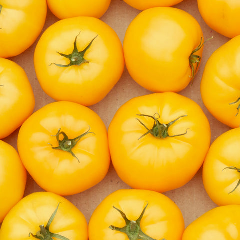 Tomato (Regular), Nebraska Wedding (Naturally Grown Seeds)
