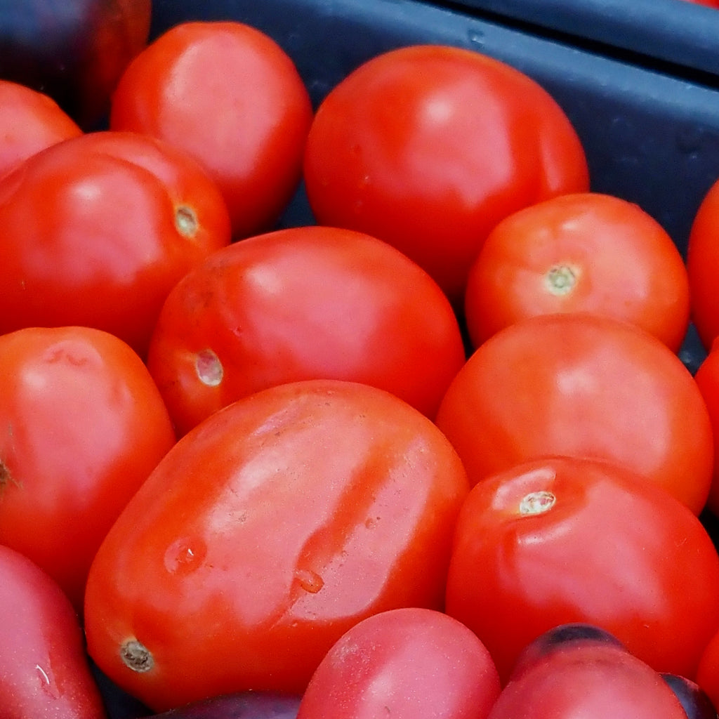 Ruby Tomatoes Natural Seeds - Tomato, Little Napoli | Sage Garden