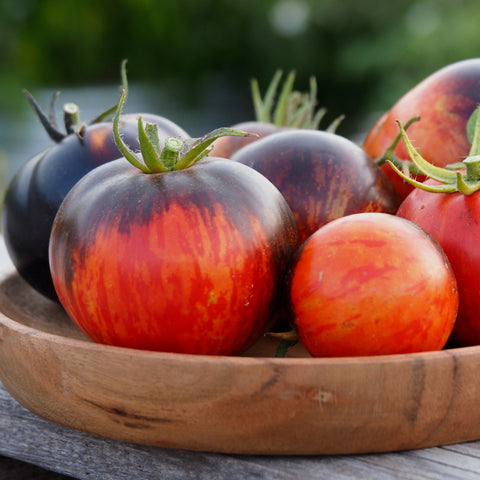 Tomato (Regular), Queen of the Night (Naturally Grown Seeds)
