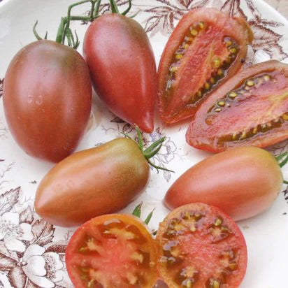 Tomato (Paste), Ukrainian Purple (Organically Grown Seeds)
