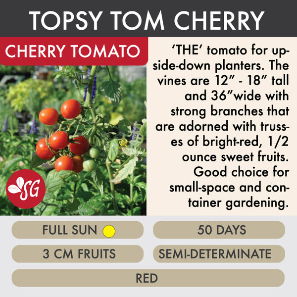 Topsy Tom - Tomato Plant Pre-Order 2026