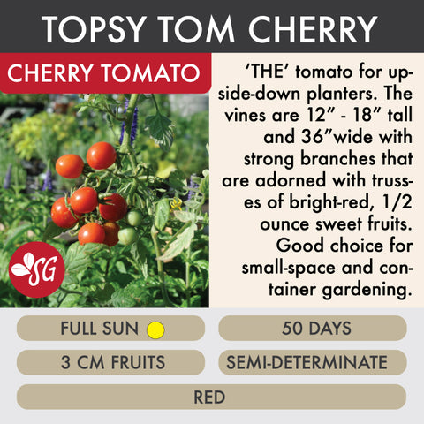 Topsy Tom - Tomato Plant Pre-Order 2026