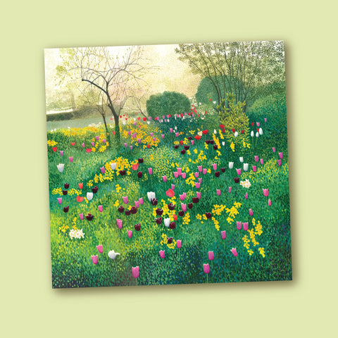 Susan Entwistle Greeting Card - Tulips in the Morning Light