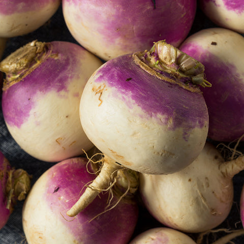 Turnip, Purple Top White Globe (Certified Organic Seeds) (T)