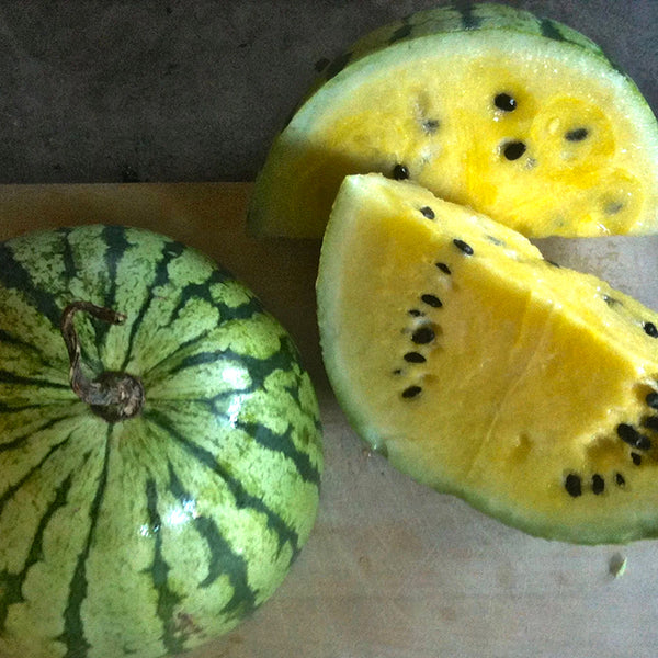 Watermelon, Early Moonbeam (Certified Organic Seeds)