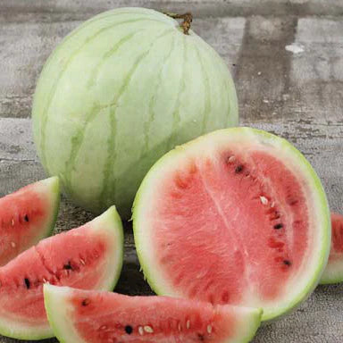 Watermelon, King and Queen Winter (Certified Organic Seeds)
