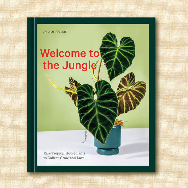 Welcome to the Jungle: Rare Tropical Houseplants to Collect, Grow, and Love