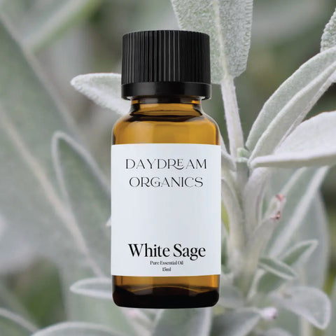 Daydream Organics White Sage Essential Oil 15 ml