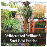 Wildcrafted Willow & Suet Bird Feeder - January 10, 2026 - 3:30 pm
