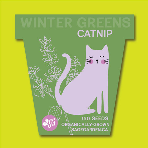 Winter Greens Seeds - Catnip