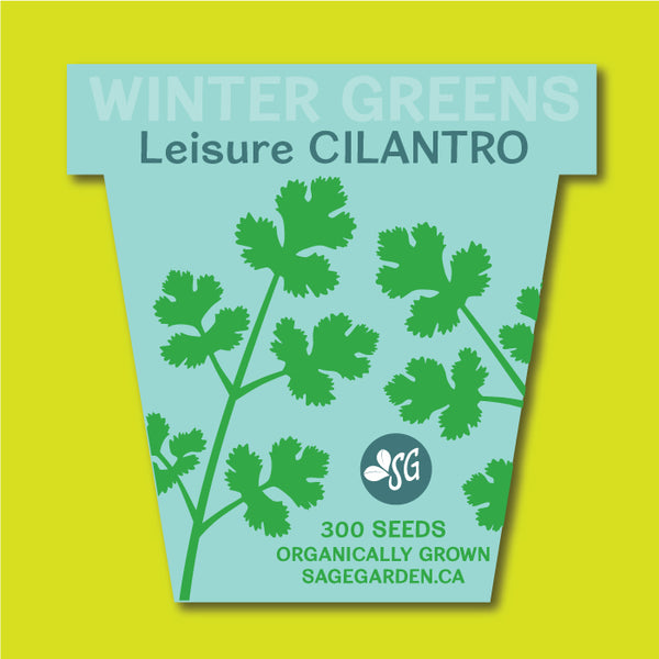 Winter Greens Seeds - Cilantro, Leisure