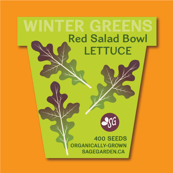 Winter Greens Seeds - Red Salad Bowl Lettuce