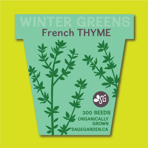Winter Greens Seeds - French Winter Thyme