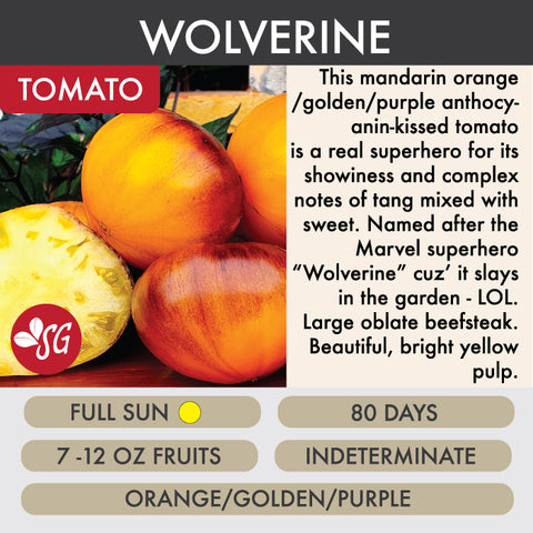 Wolverine - Tomato Plant Pre-Order 2026