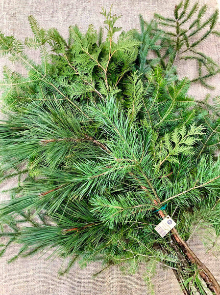 Bundles - Holiday Greenery - LOCALLY HARVESTED