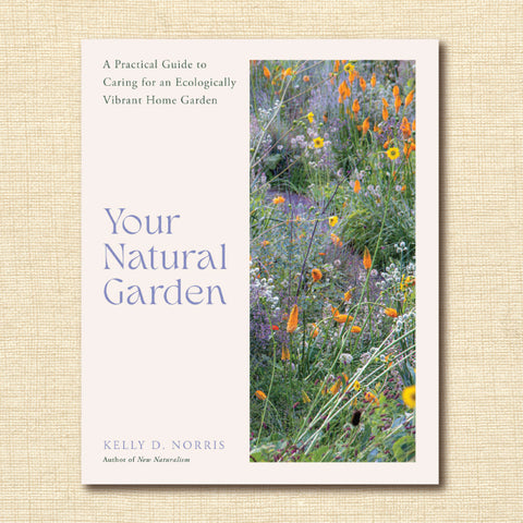 Your Natural Garden: A Practical Guide to Caring for an Ecologically Vibrant Home Garden