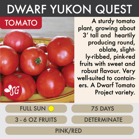 Yukon Quest - Tomato Plant Pre-Order 2026